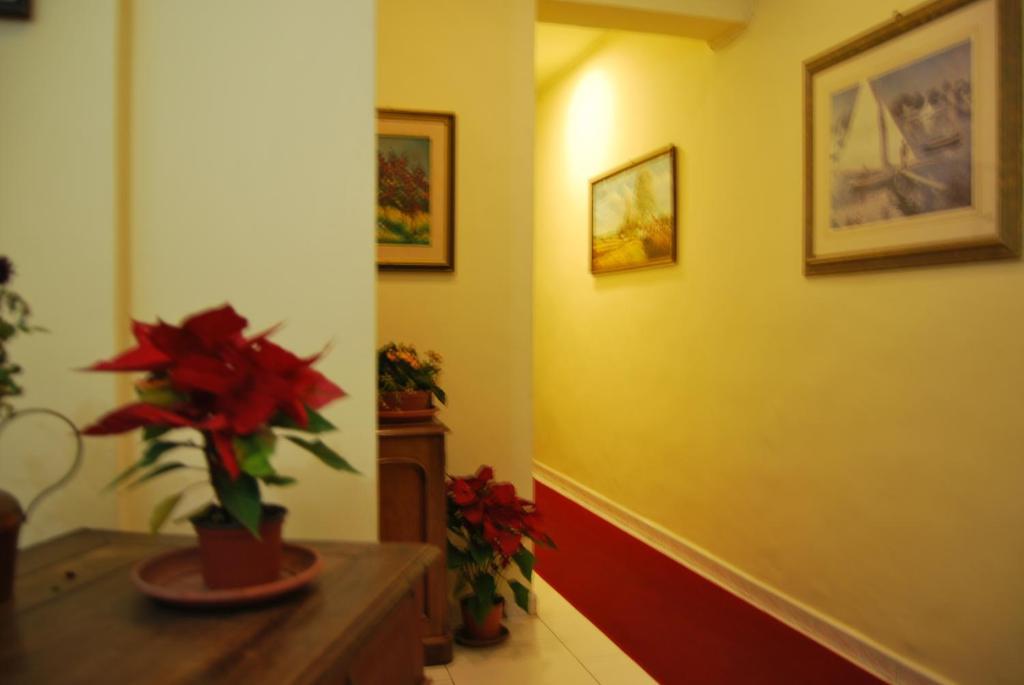 Guest house Bellini *